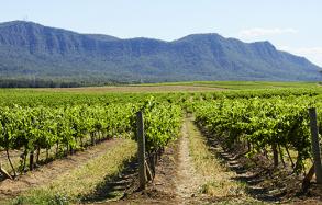 Pokolbin, Hunter Valley