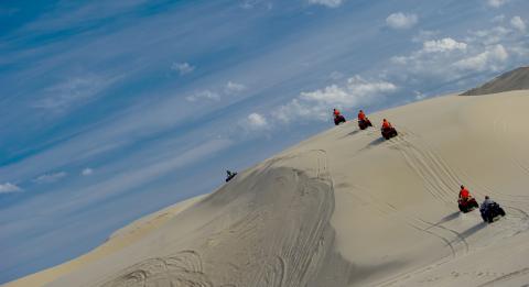 모래 언덕 모험 투어(Sand Dune Adventures)