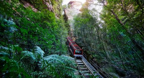 시닉 월드(Scenic World) 블루마운틴