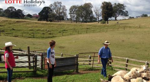Working Holiday Farming