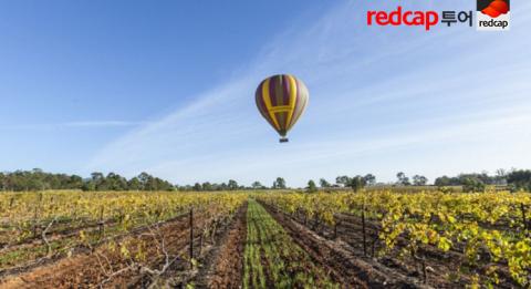 헌터밸리 Ballooning in the Hunter valley
