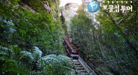블루마운틴 Blue Mountains, New South Wales