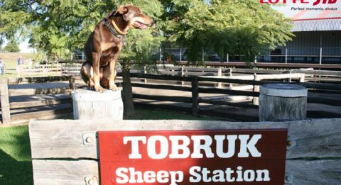 토부룩농장 Tobruk Farm