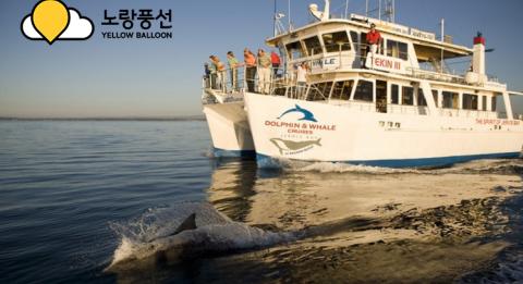 패키지2- 저비스베이 크루즈 Jervis Bay cruise