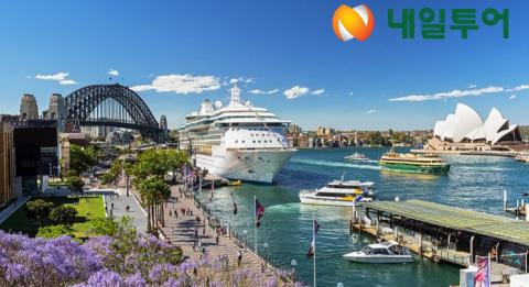 시드니 자카 란다 시드니의 꽃 자카란다(Jacarandas). 바쁜보기 서큘러 키(Circular Quay) 과 시드니 하버