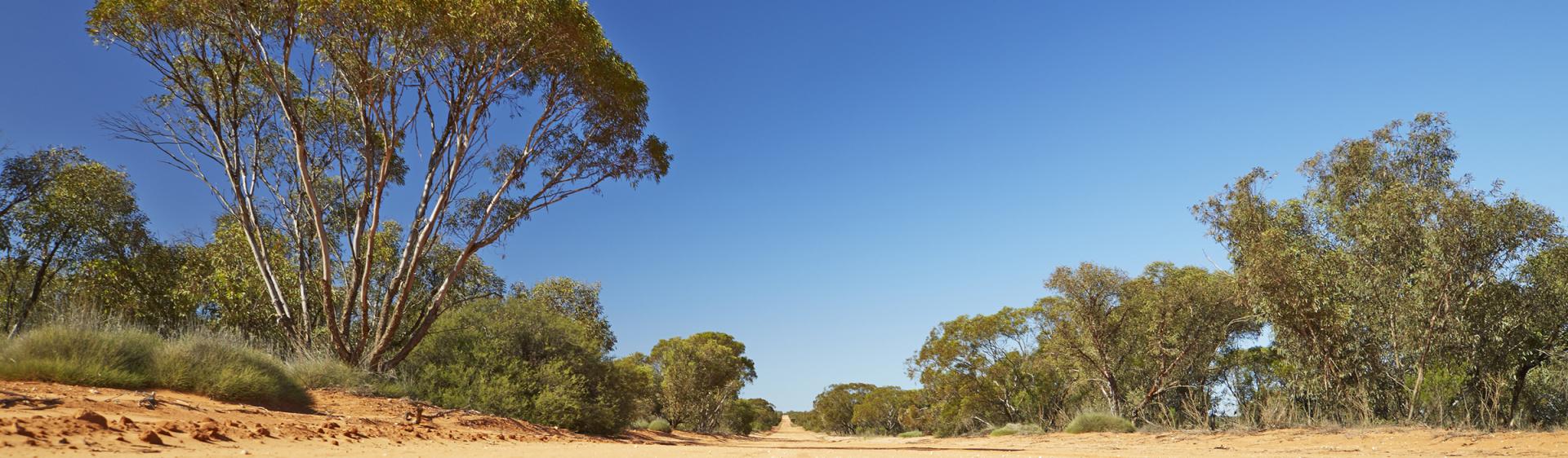 멍고 국립공원 트랙, 브로큰 힐(Broken Hill)