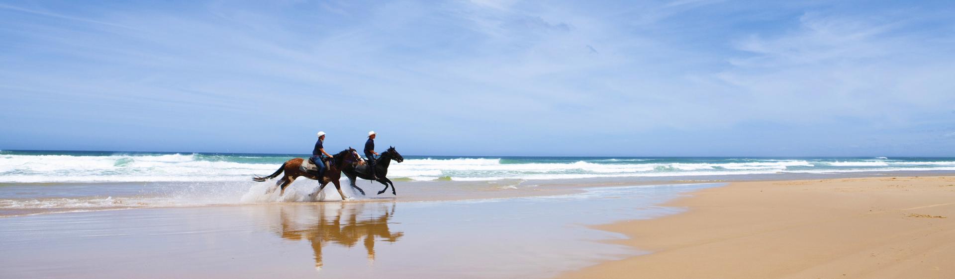 해변 승마(Beach Horse Riding), 포트 스티븐스