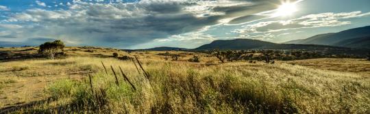 코지어스코 국립공원(Kosciuszko National Park)