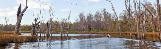 머럼비지 강(Murrumbidgee), 나란데라(Narrandera)