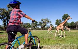 타롱가 웨스턴 플레인 동물원(Taronga Western Plains Zoo), 더보(Dubbo)