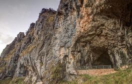 야랑고빌리 동굴(Yarrangobilly Caves), 코지어스코 국립공원(Kosciuszko National Park)